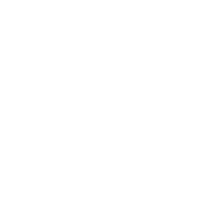 Optivus Research