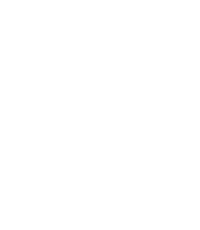 Optivus Implementation